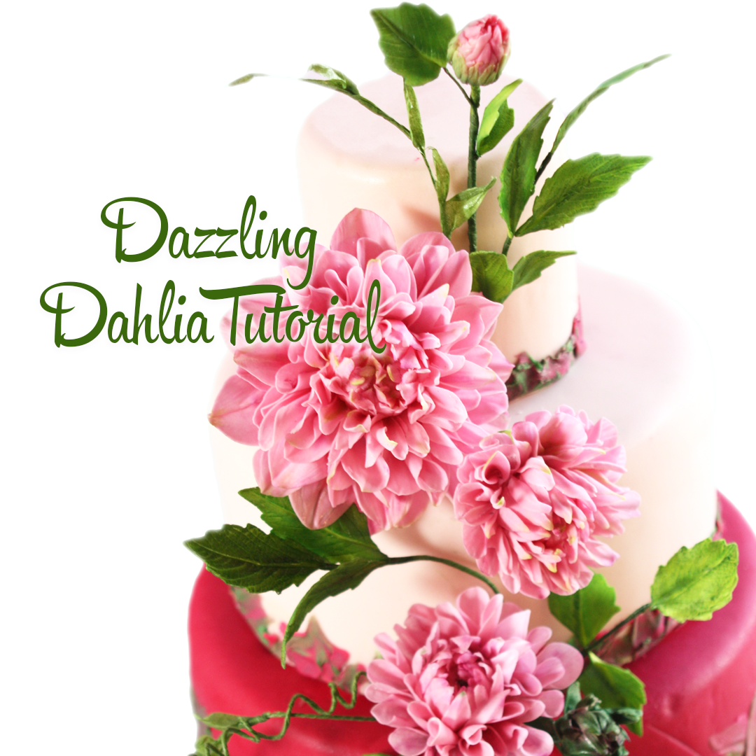 FMM 3 piece Sugar Flower cake decoration cutter set More than a Dahlia 