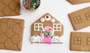 Sprinkle Pop Decorate Ginger Bread House