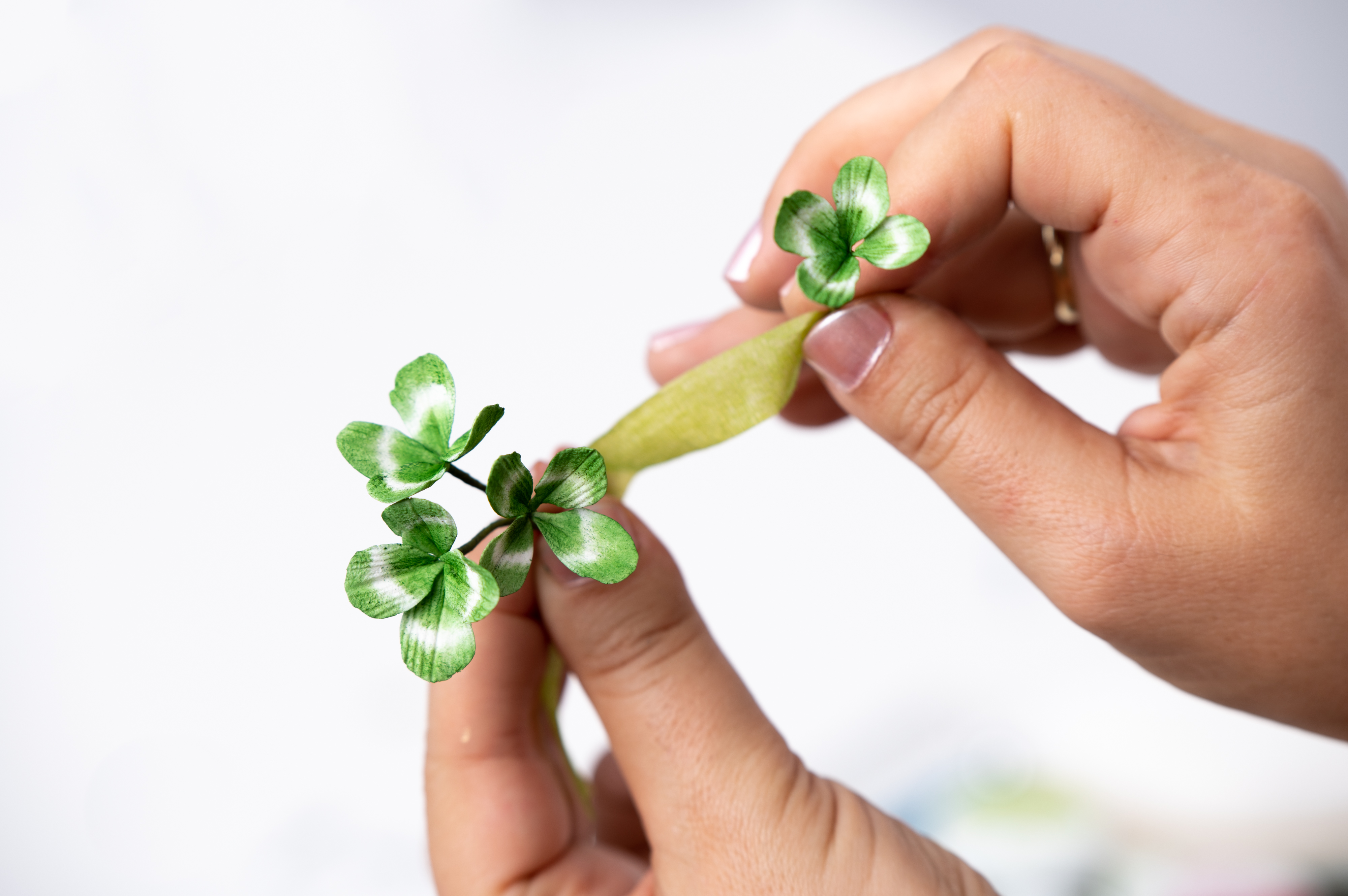 striped four-leaf gum paste clover step 6