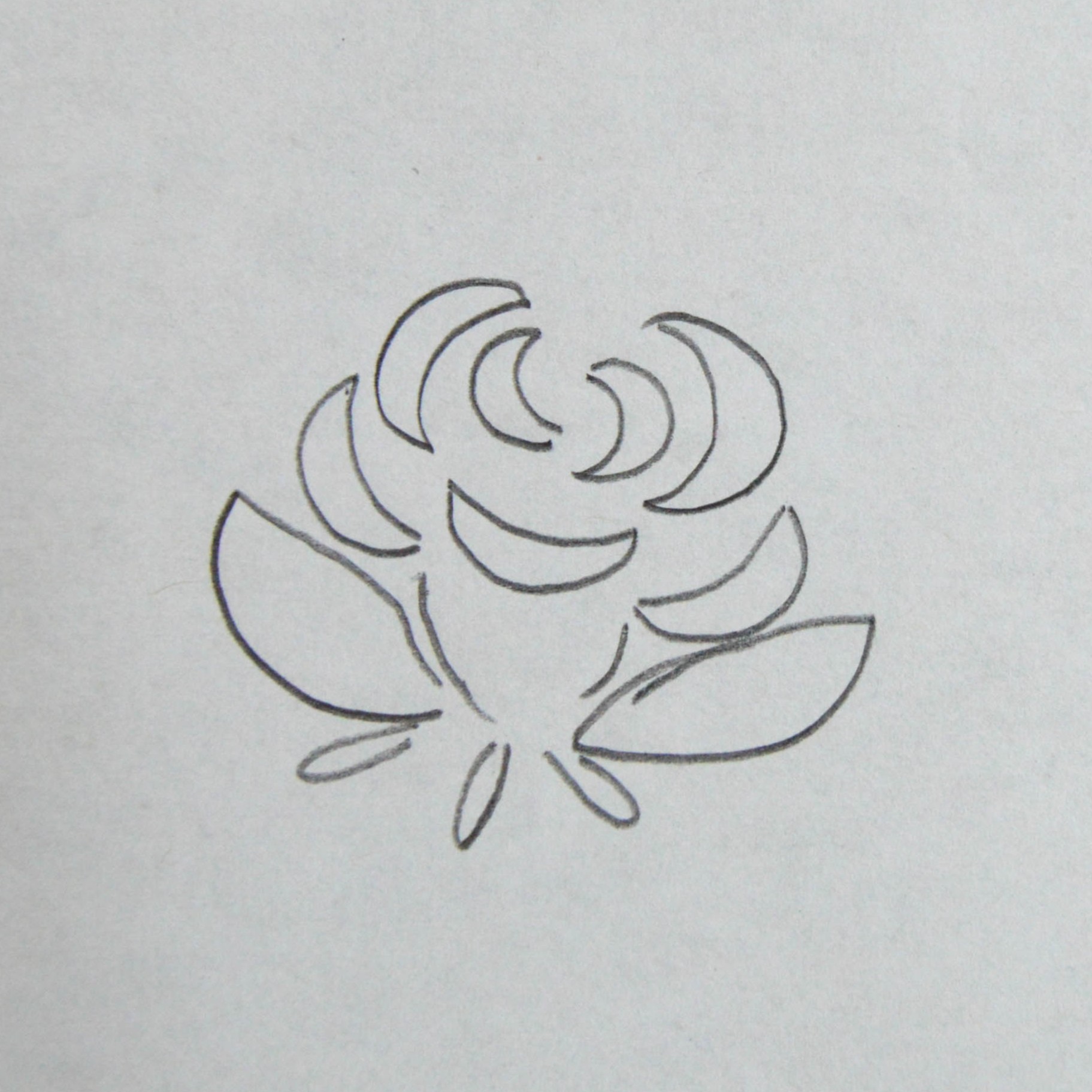 buttercream rose template