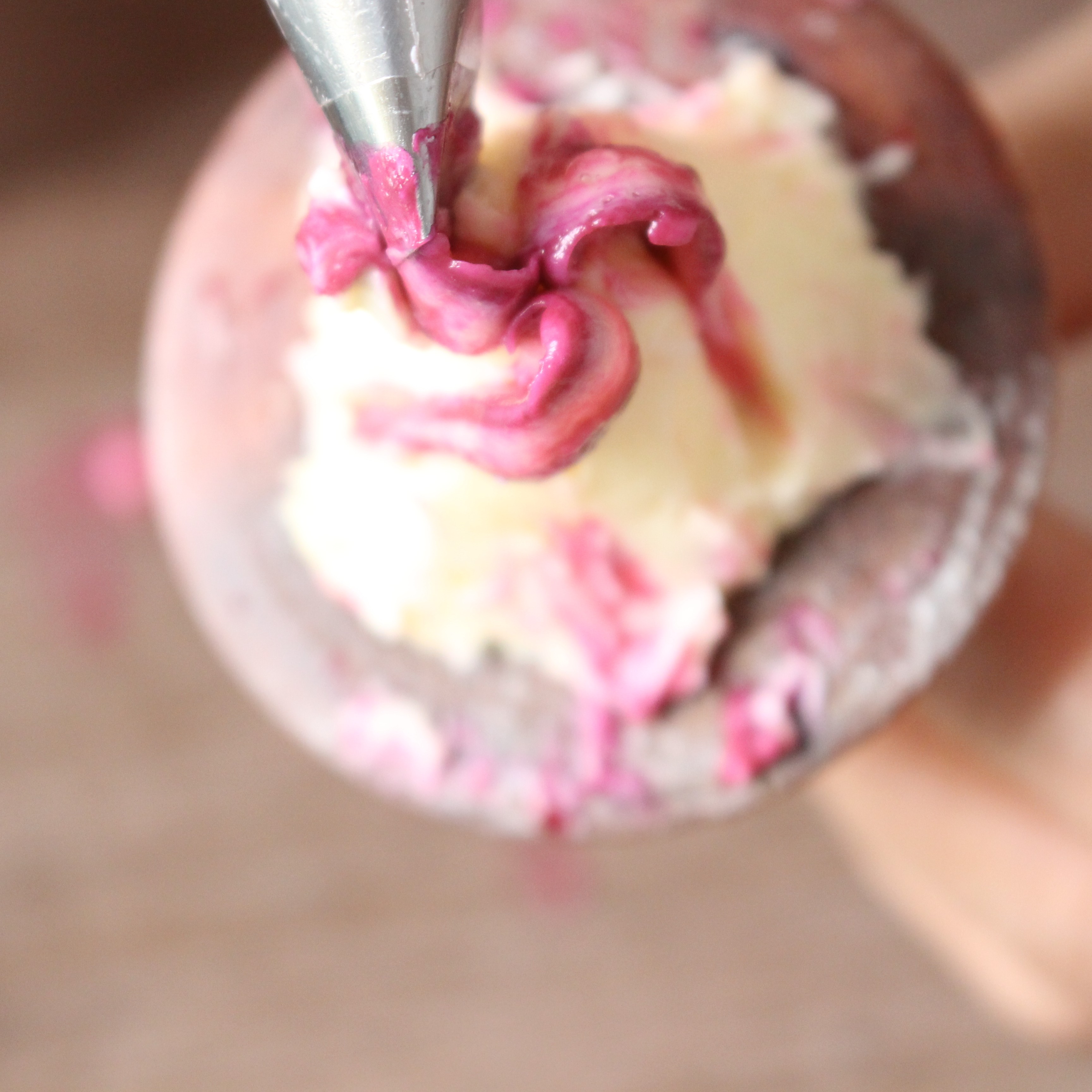 buttercream juliet rose