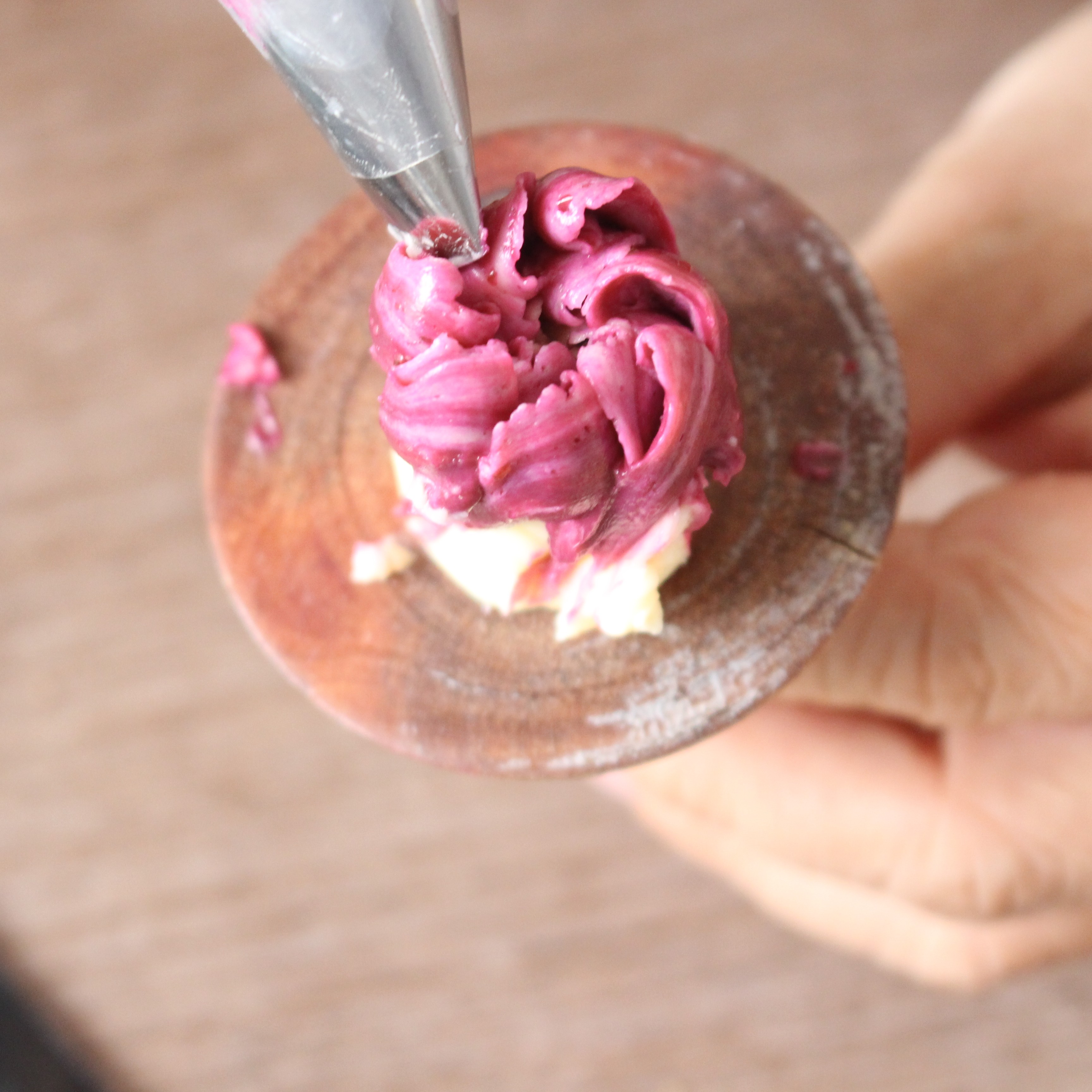 buttercream juliet rose