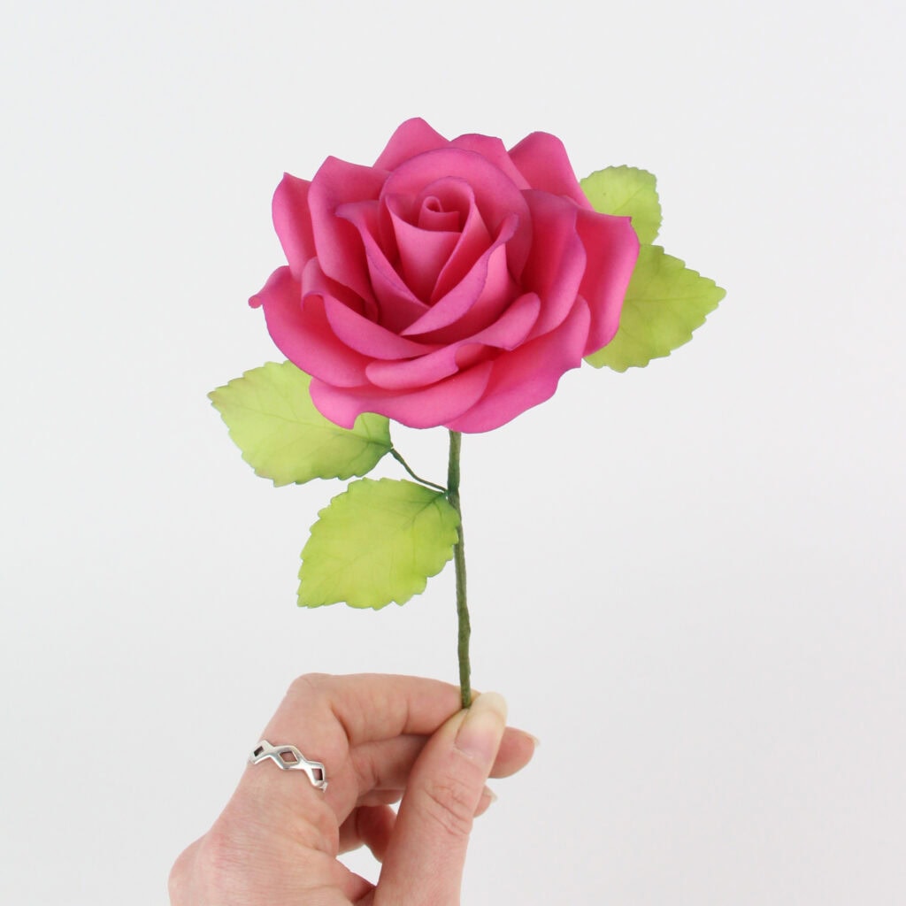 gum paste rapid rose