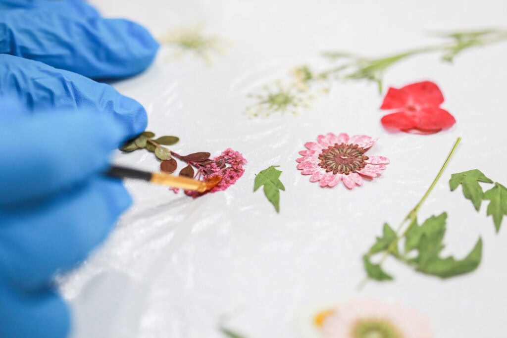 pressed flower cake tutorial