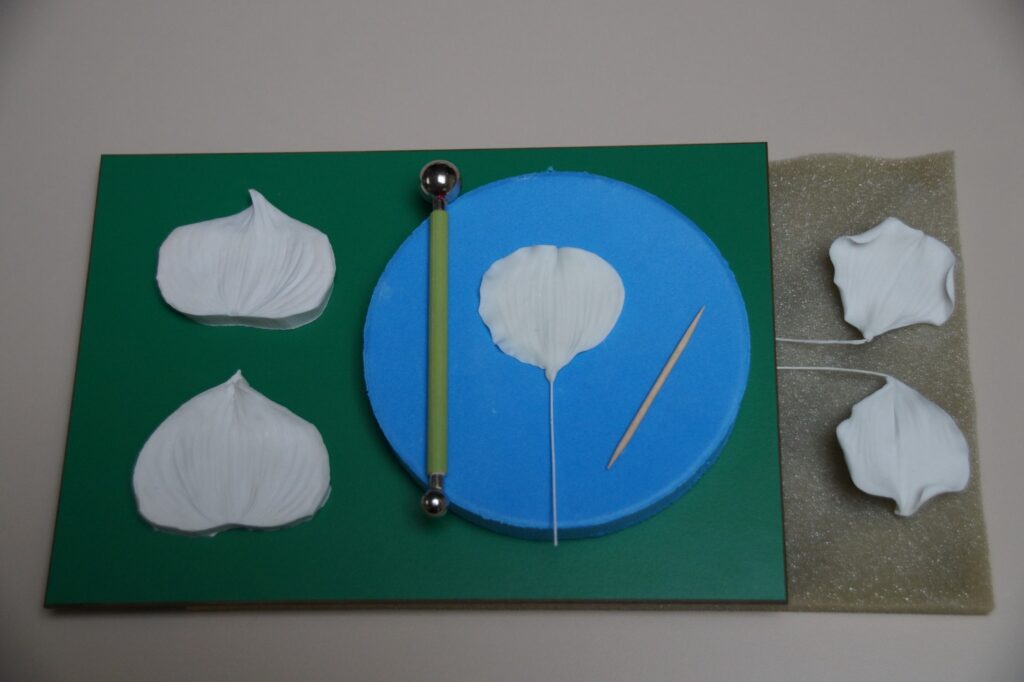 Petals and Column Step 6