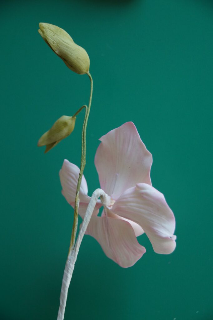 Assembling Orchid Step 5