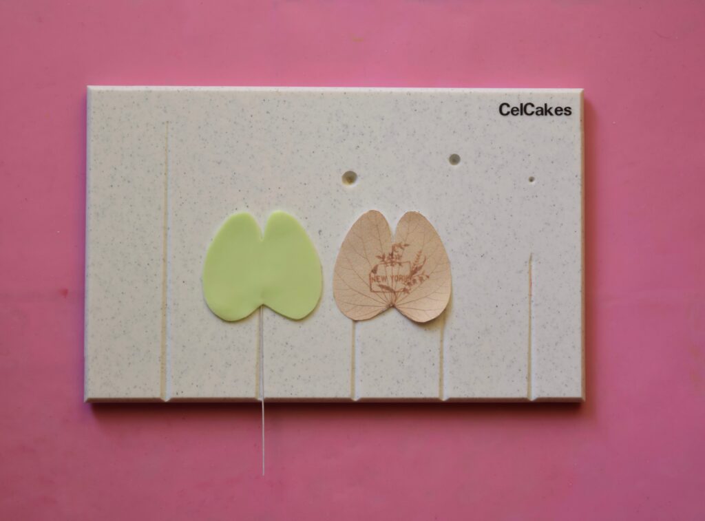 Assembling Orchid and Make Leaves 1
