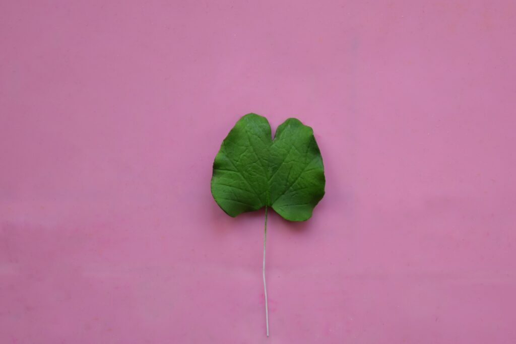 Assembling Orchid and Make Leaves 3