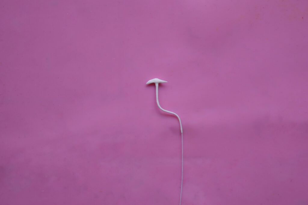 Create the Pistil and Stamens 4