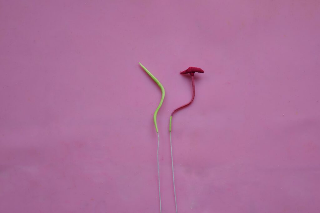 Create the Pistil and Stamens 5